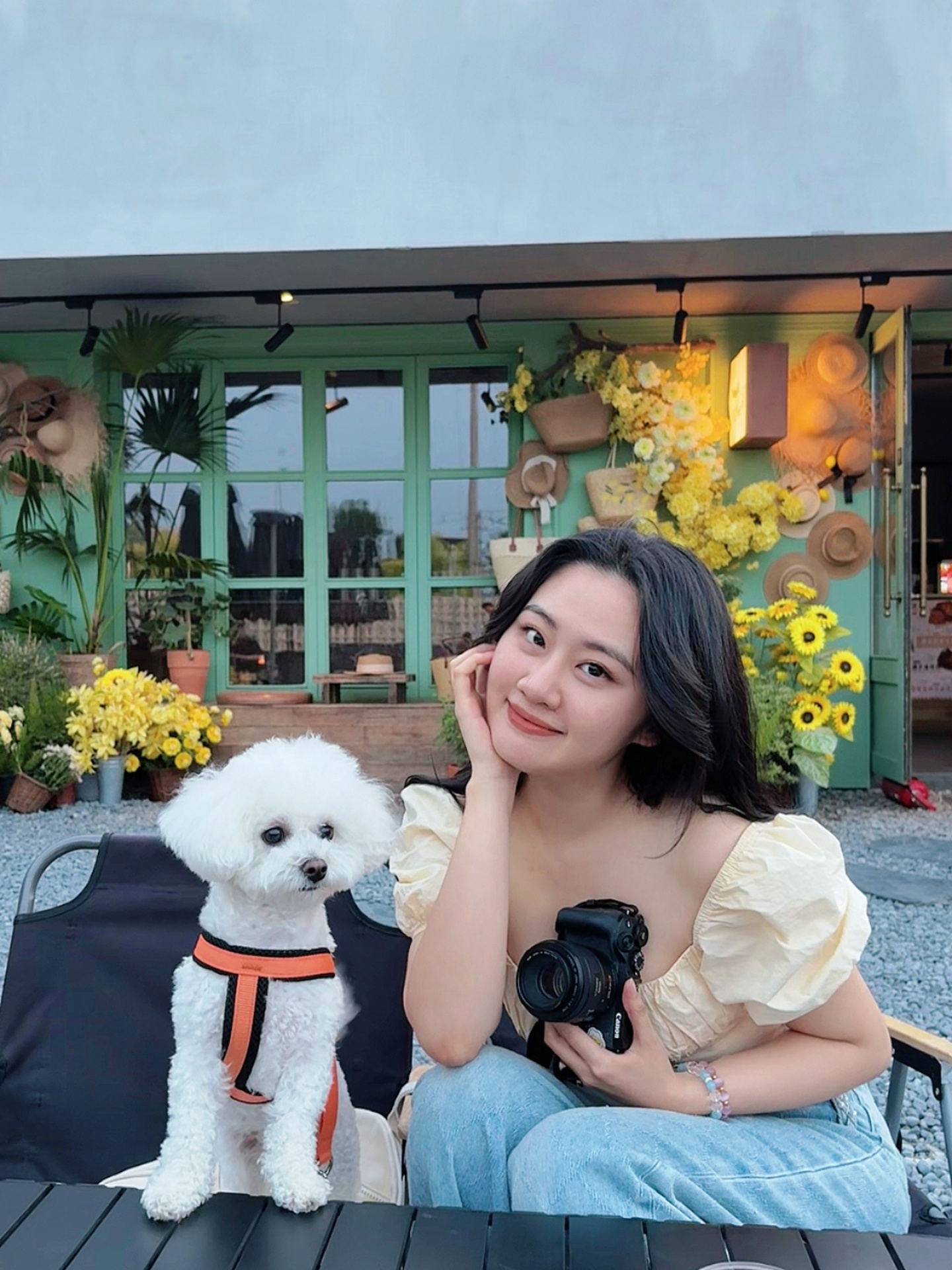 🐶🍋🌸 北京