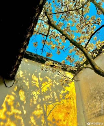 喜欢这种境界的小姐姐，女人的智慧是静而能稳，和颜悦色心境。真正的贵气不...