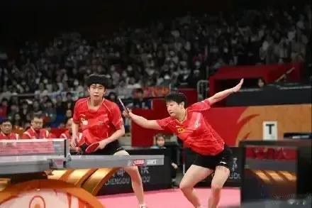 成都混团世界杯国乒战绩统计（截止12月7日）：

总成绩：中国队48：5外协会。