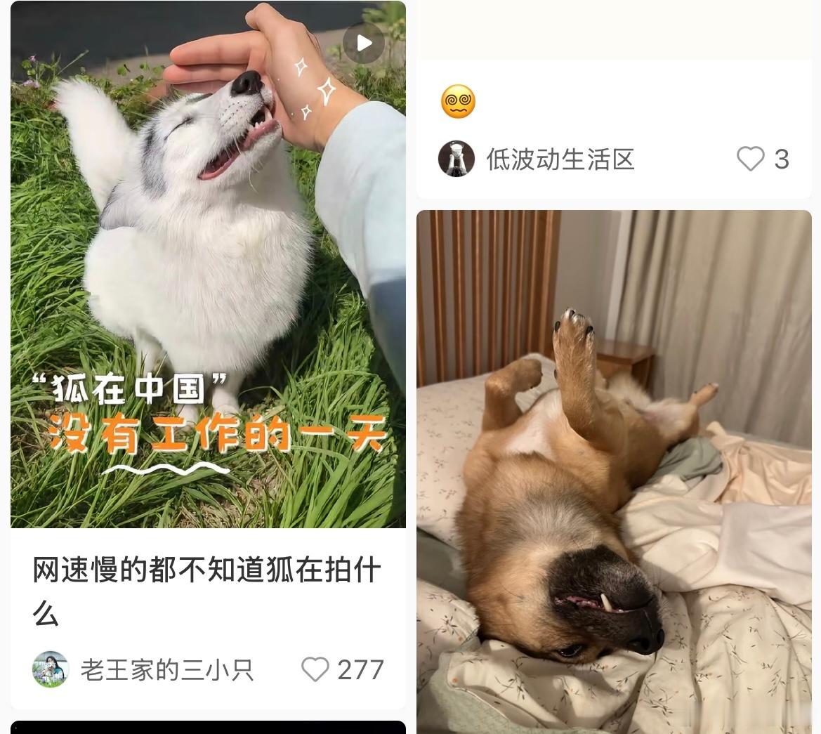 首页凭实力拼接出家产的模样（随地大小代版 