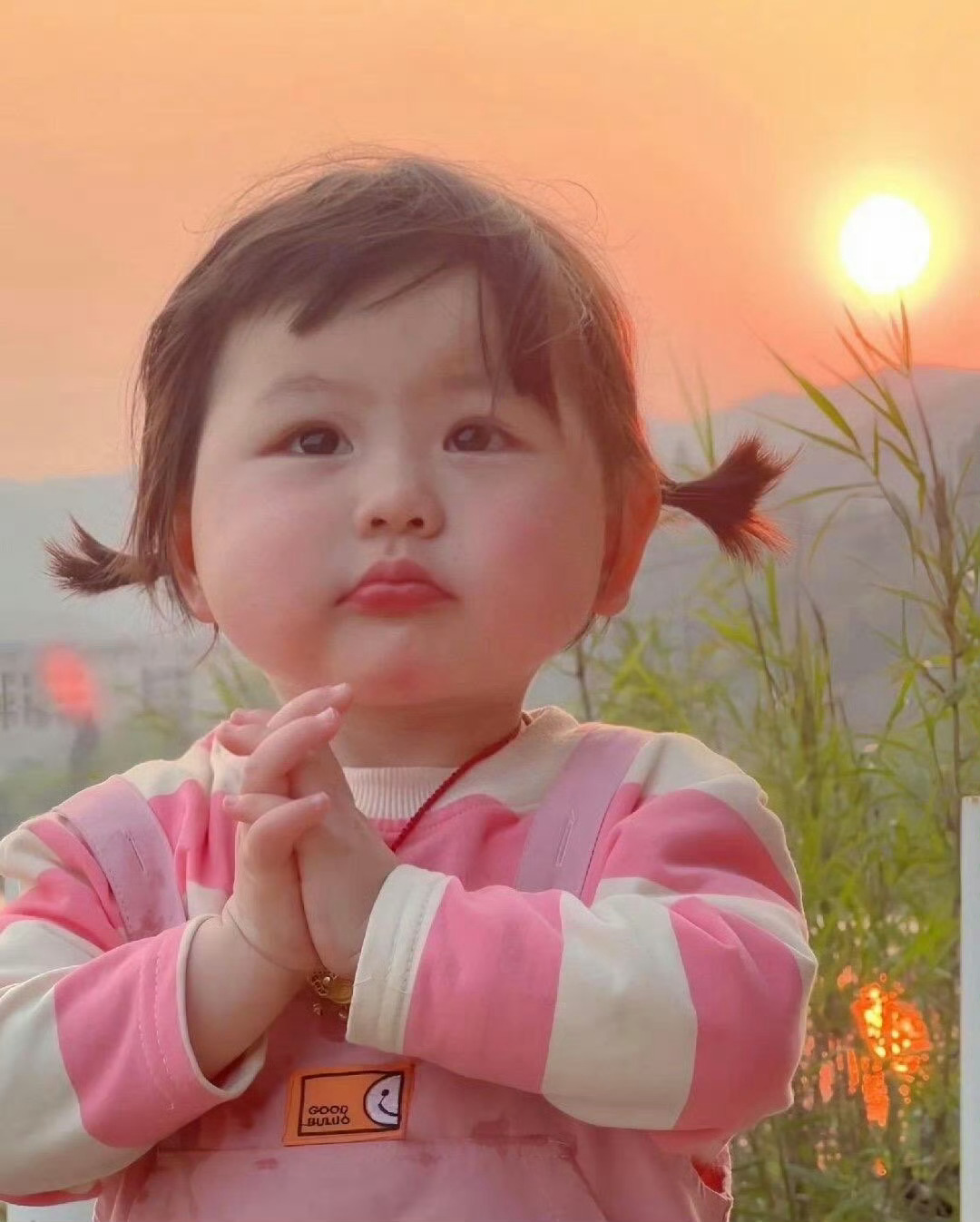 瑶一瑶小肉包近30天掉粉4万说点不好听的这孩子从现在开始停更啥也不干赚的钱也足够