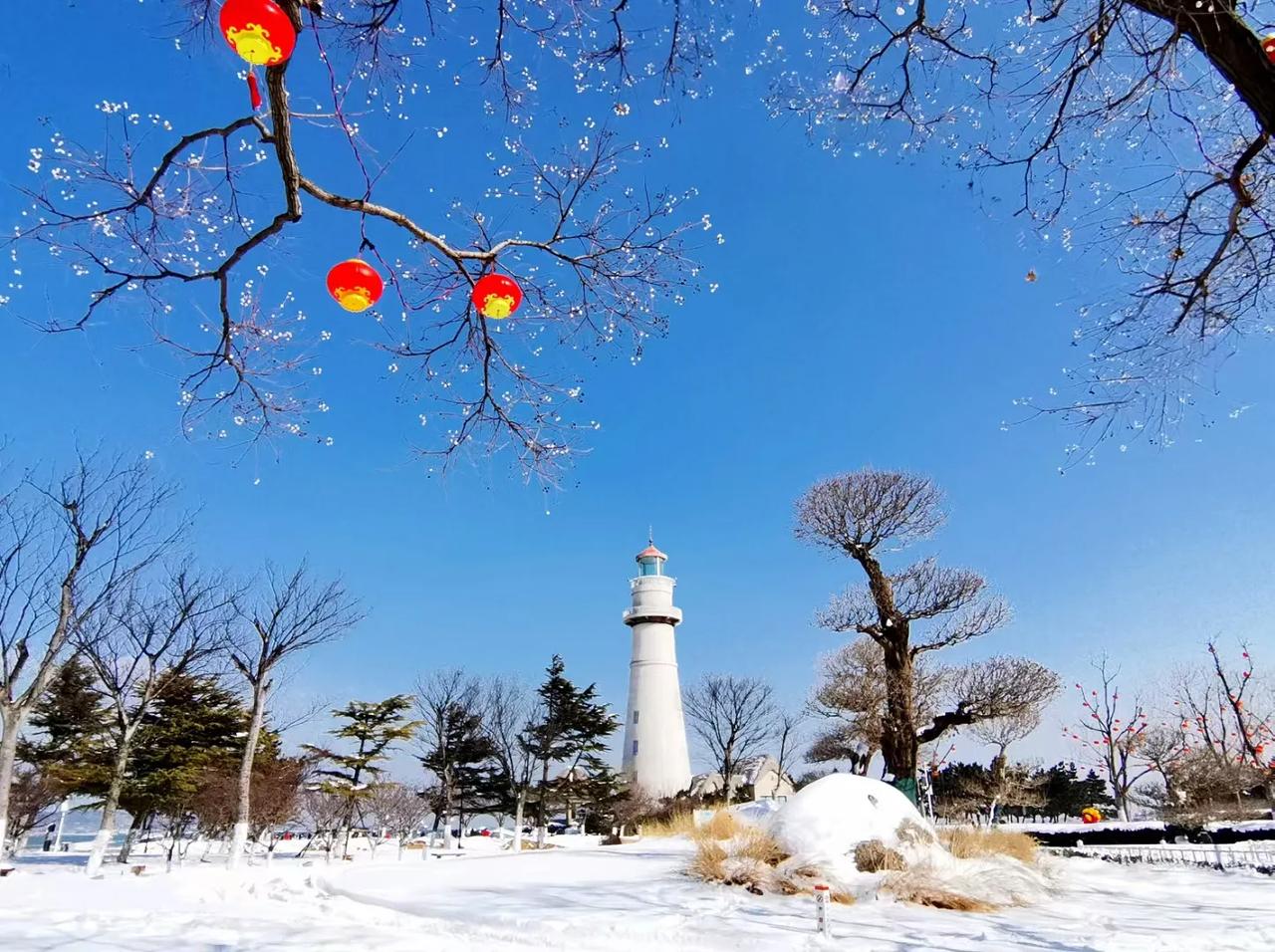 大年初三的威海，雪总算停了。之前听说威海春节假期有三次雨雪天气，这天气还真是复杂