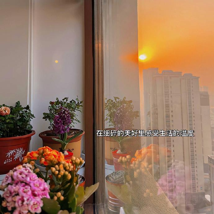 𝗦𝘂𝗻𝗹𝗶𝗴𝗵𝘁 ⛅️“爱人先爱己，少说对不起” 