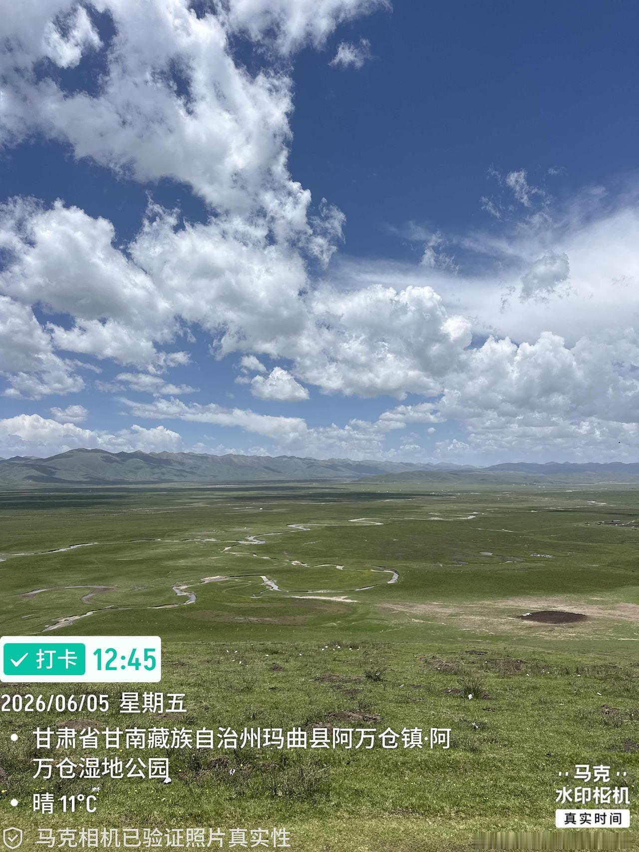 阿万仓湿地公园位于玛曲县阿万仓镇，被誉为“青藏高原的生态瑰宝”，这里拥有黄河上游