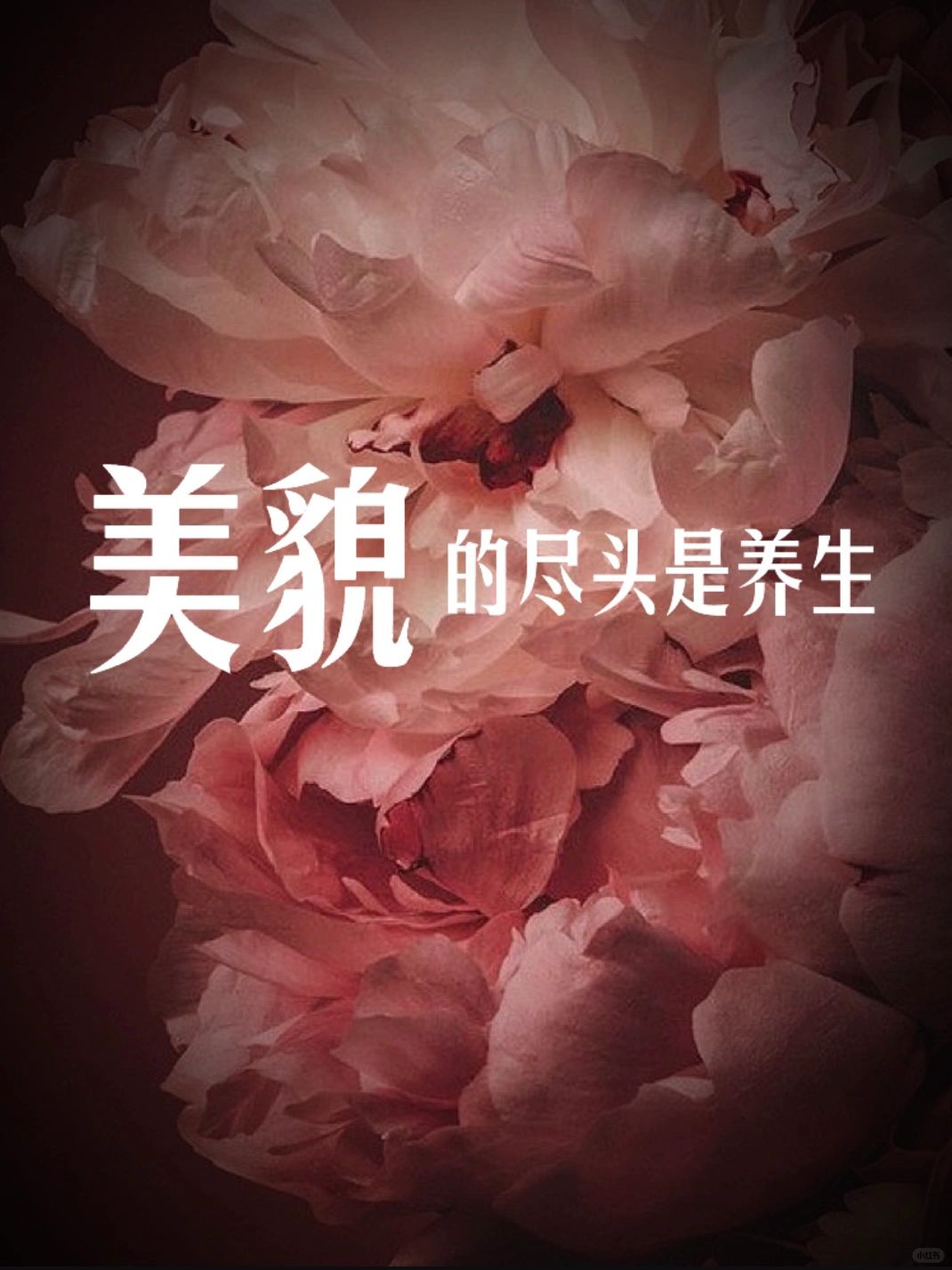 中医说：做好内调外养，素颜比化妆更好看❗️