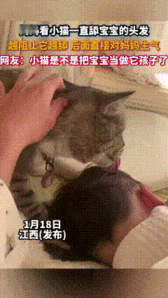 江西，一妈妈看到猫咪一直舔宝宝头发，然后立即制止，不料，越阻止它越舔，然后直接生