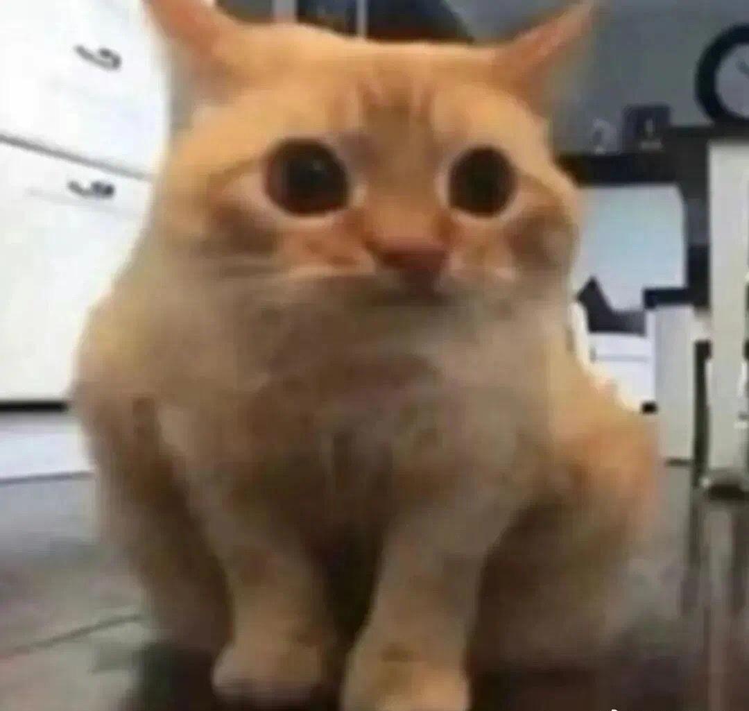 不少年轻人理想的过年方式，是“线上+线下”的社交。既能和远方的朋友视频拜年、线上