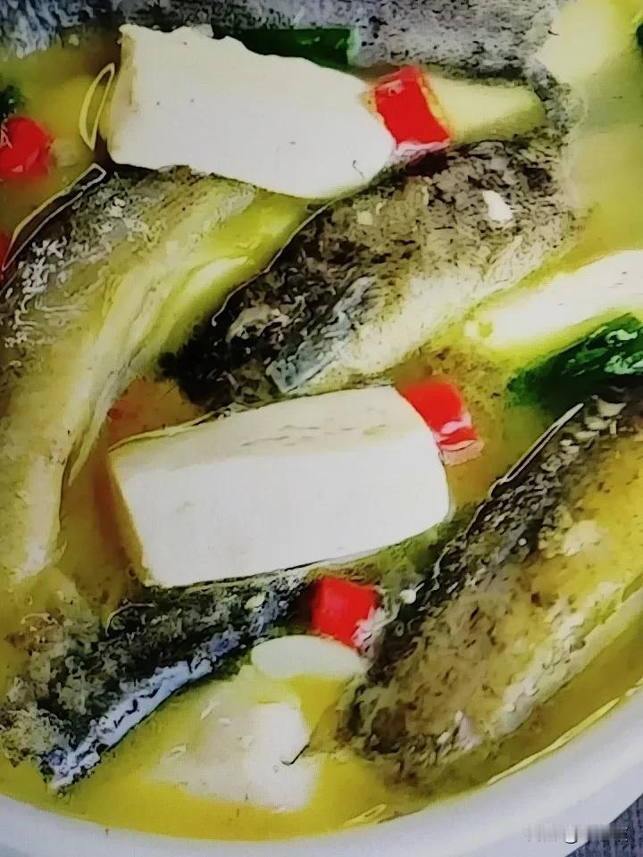 夏日生活打卡季 
三伏天到了，高温湿热让人浑身不得劲儿，很多人想炖鸡汤补补，可鸡