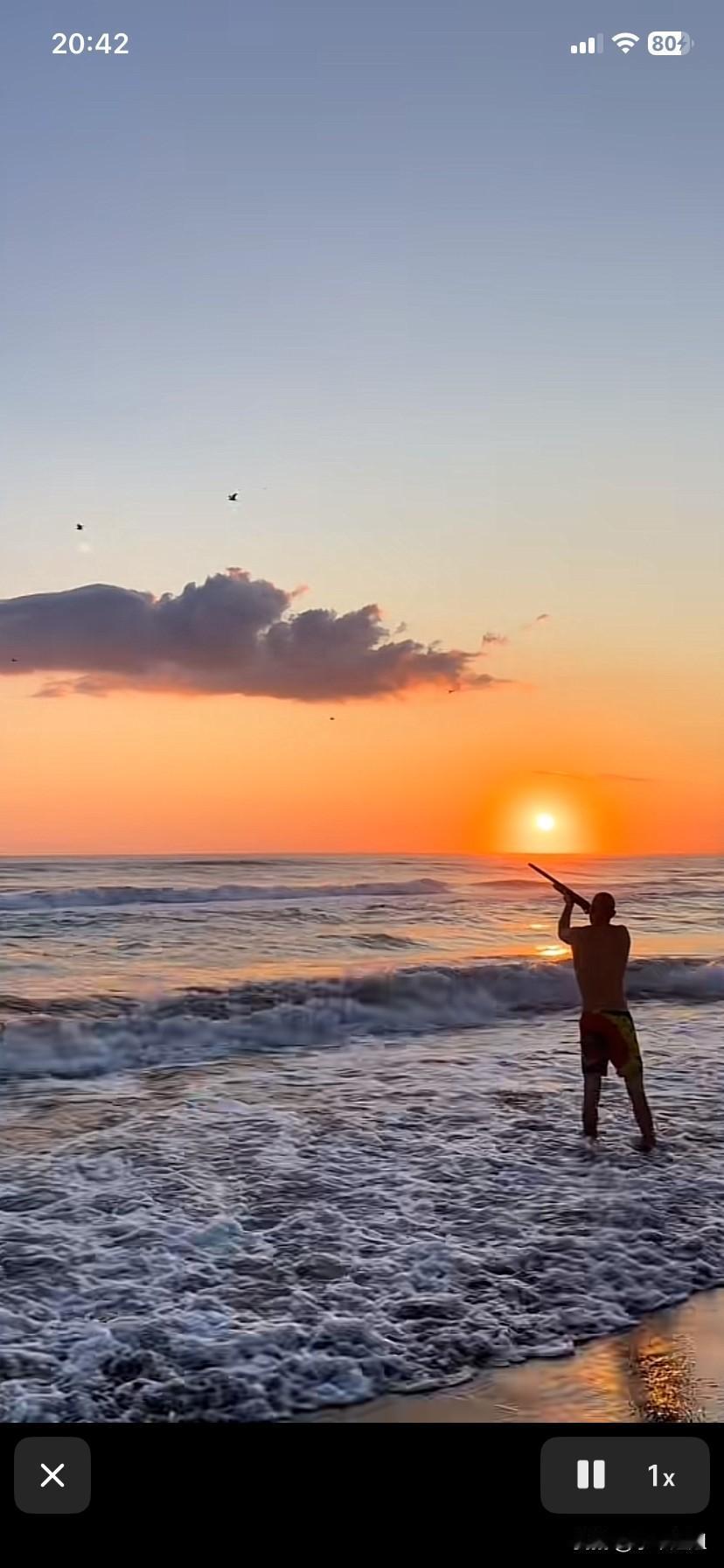 罗兰多的弟弟在海边玩的太美了！
夕阳余晖下，景色美的不像话，野鸟三三两两的飞来，