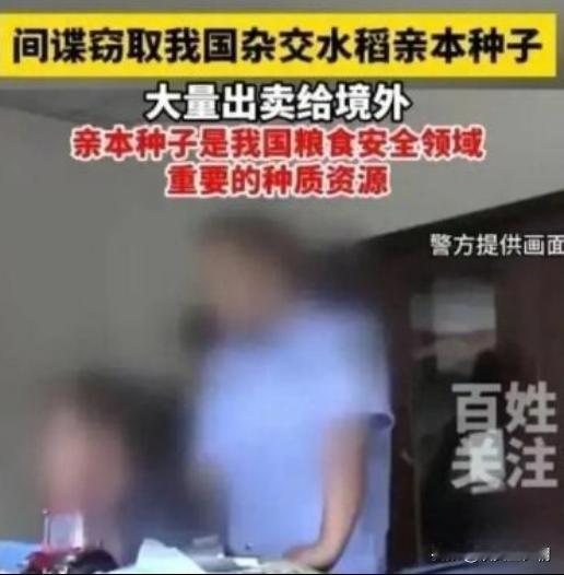 “应该立即死刑！”央视新闻在4月14日曝光了一起惊天大案：我国杂交水稻之父袁隆平