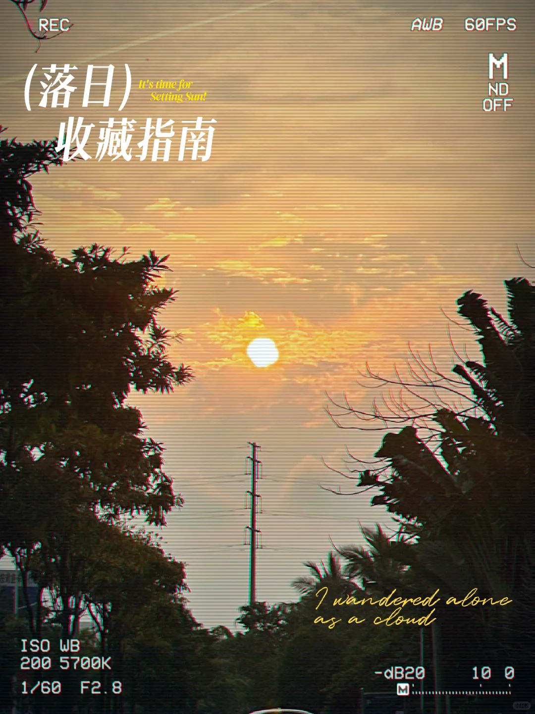 在大城市里有阳光，有文玩星月的陪伴