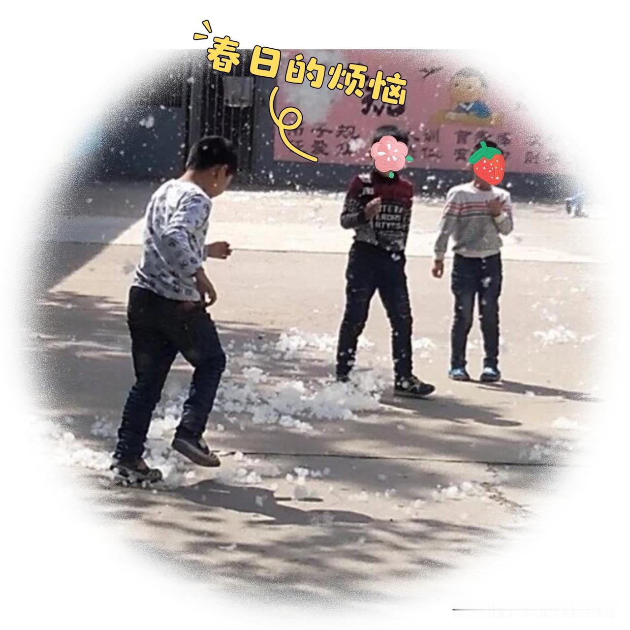 一张10年前的老照片，见证了从“对抗自然”到“顺应自然”，从“简单清除”到“精细