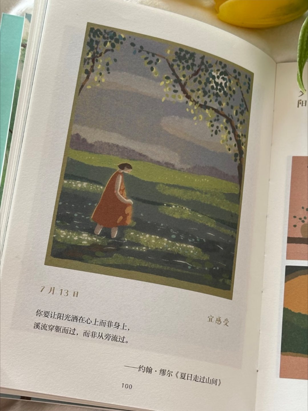 发现一本好温柔好治愈的小书啊！我太太爱了 