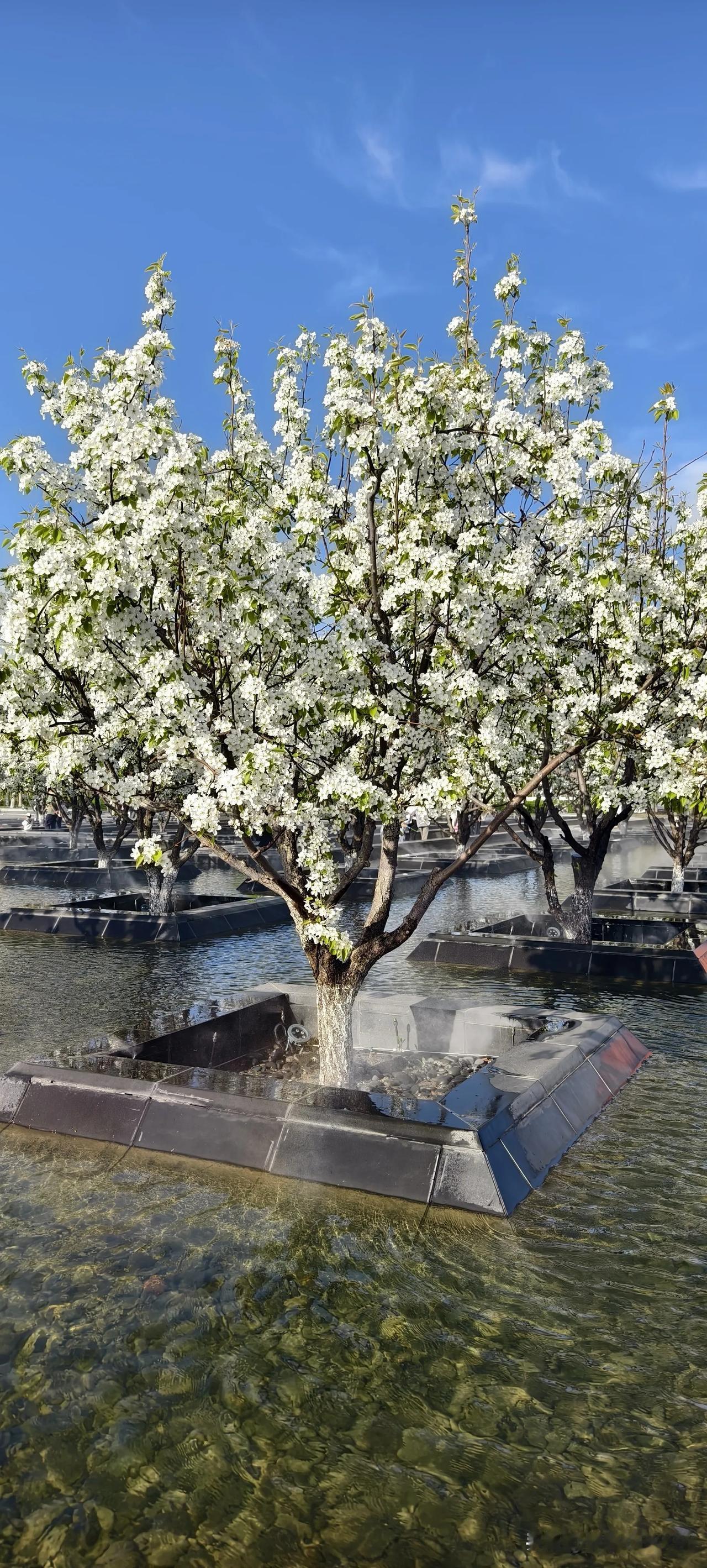 热爱就是发自骨子里的喜欢！因为从中大大受益，所以，形成了热爱。而热爱形成了坚持，