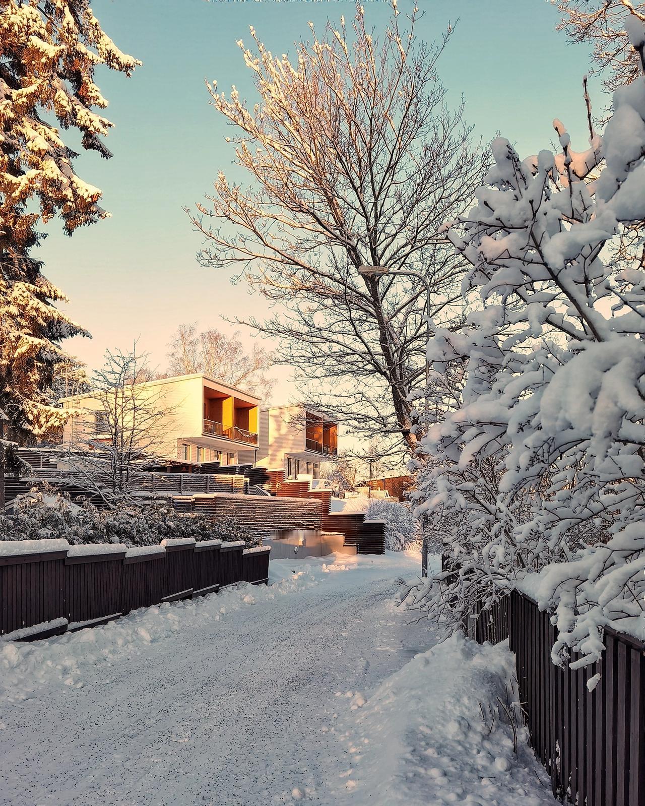 小寒时节的雪景