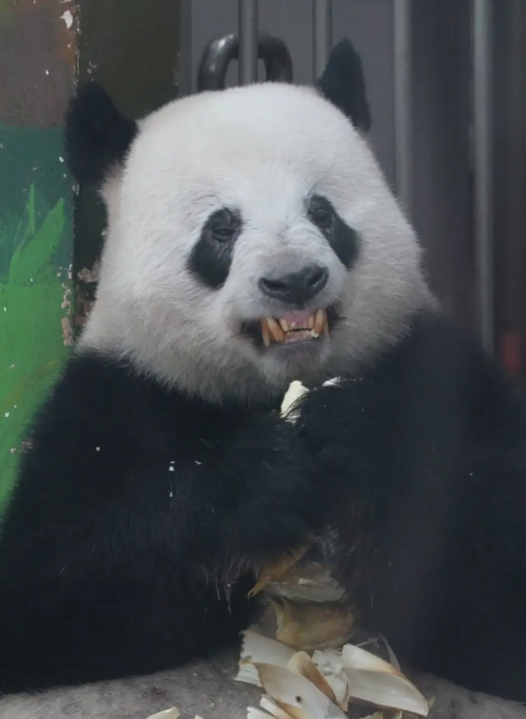 当破财挡灾。初八返工，发现系公司件衫唔见左，以为自己放假前拿左返屋企...