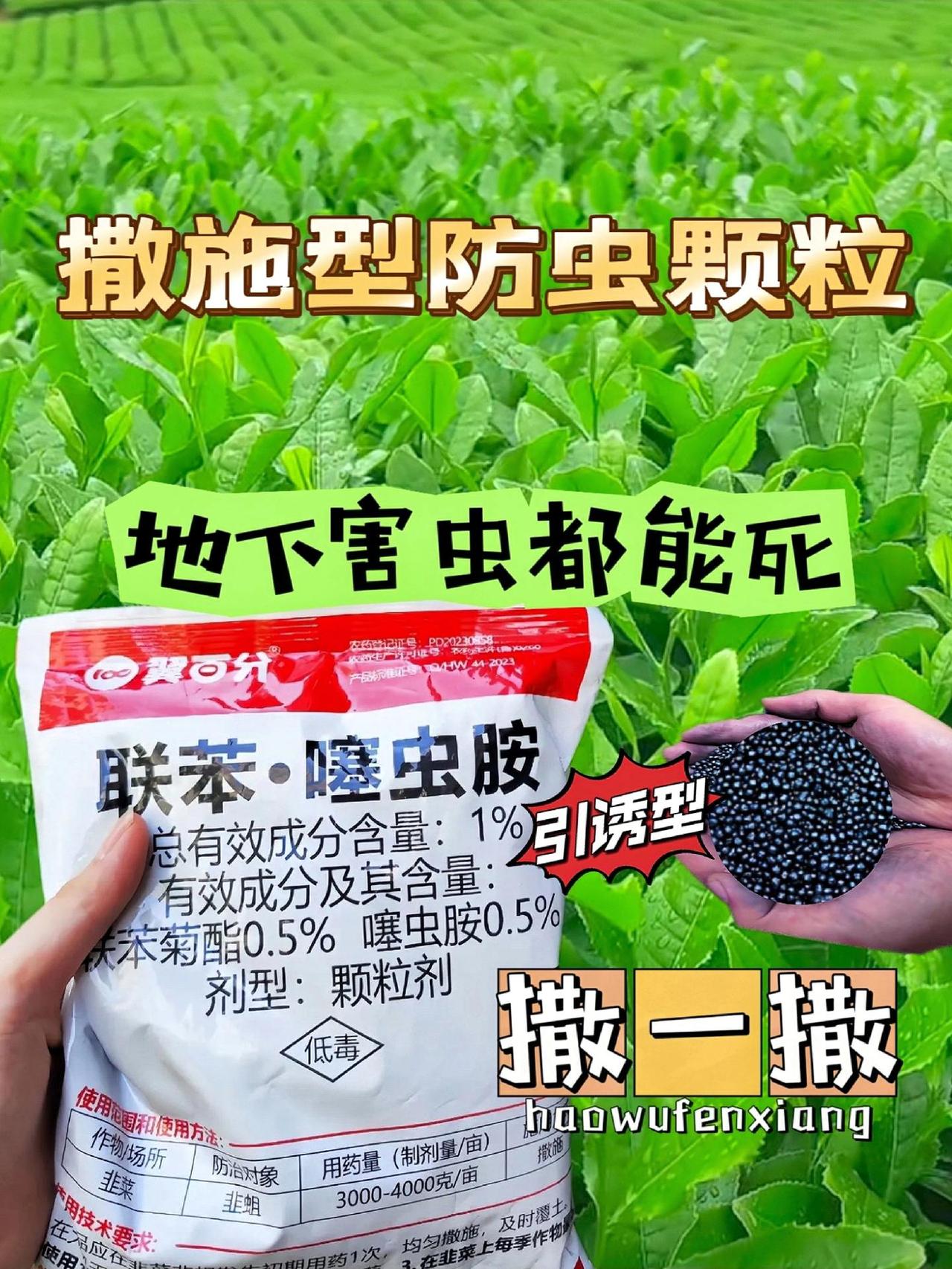 🥦秋季蔬菜种植，虫害成了大难题？别慌！🎉  家人们，是不是秋季农作物虫害让人