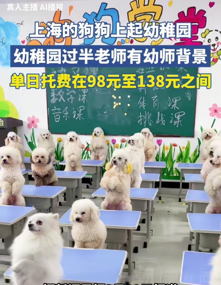 刚刚看到一个视频，说上海的狗狗都上幼稚园了！ 
          去年看到一个