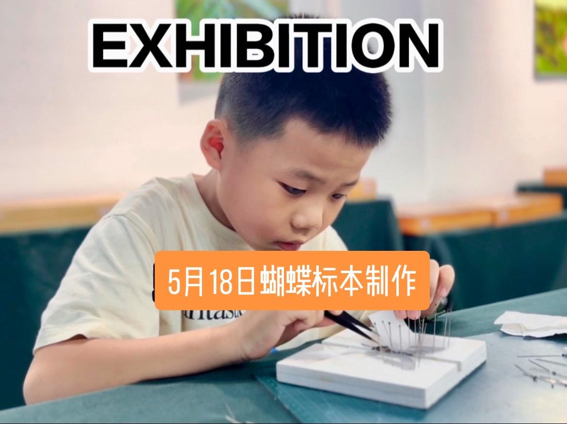 普宁 热爱大自然 记录童年 蝴蝶标本 夏令营
