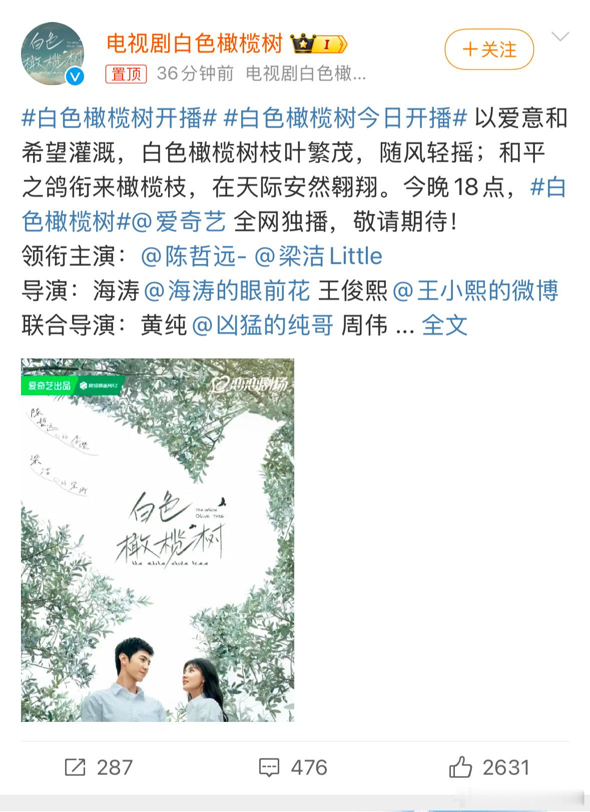 白色橄榄树 白色橄榄树今日开播 谁去看？ 