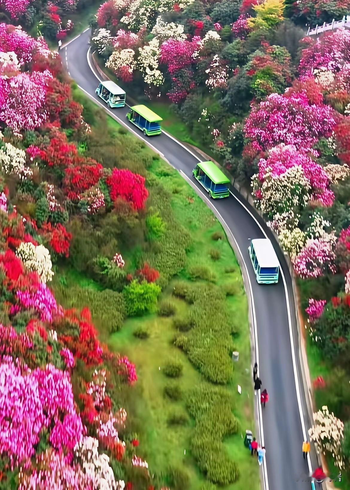 赏花莫“伤花”：文明观景才是最美风景
 
1. 赏花是审美，践踏是失德
春天的花