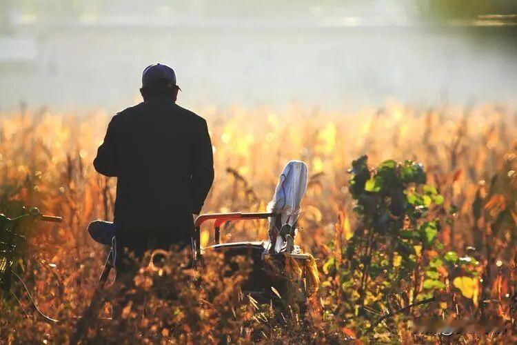 农村俗语：“人老留四物，子孙才有福”，指的是哪四物？
 
人到老年，心里牵挂的不