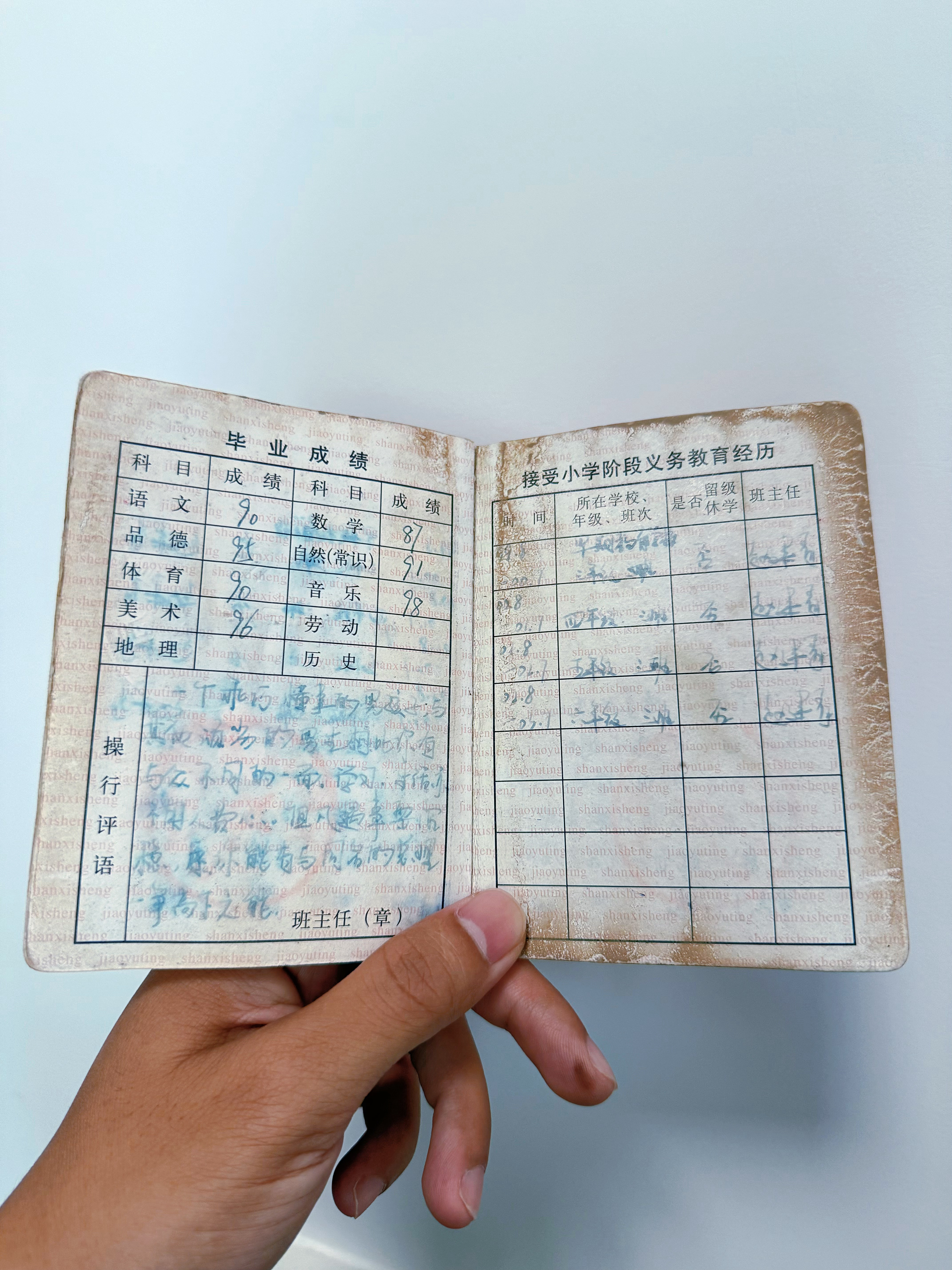 翻到了自己小学的毕业证书，班主任给我的评语是：一个乖巧懂事的男孩，与其他顽劣的男