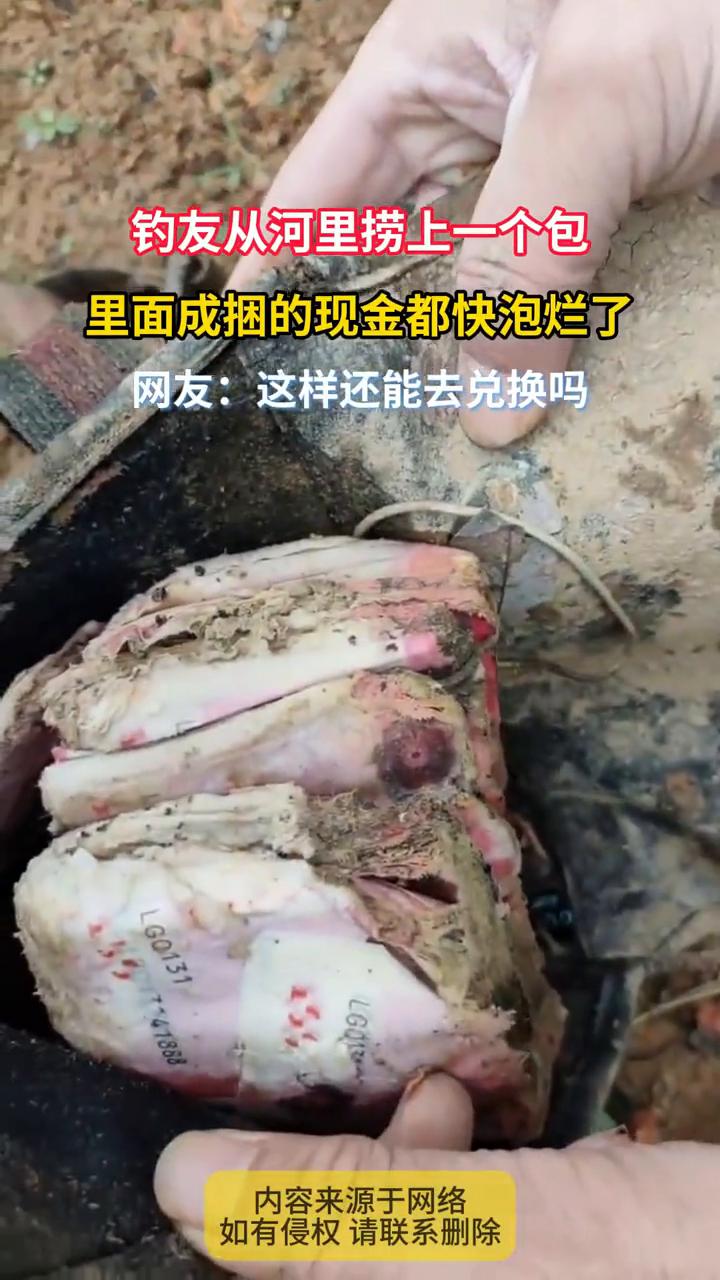 钓友从河里捞上一个包，里面成捆的现金都快泡烂了。网友：这样还能去兑换吗？
10月