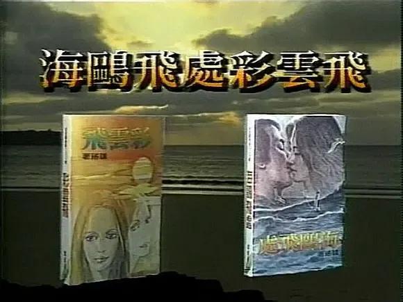 1989年播出的台湾电视连续剧《海鸥飞处彩云飞》改变自琼瑶的两本小说《海鸥飞处》