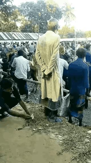 乌克兰和俄罗斯就这样打起来的 