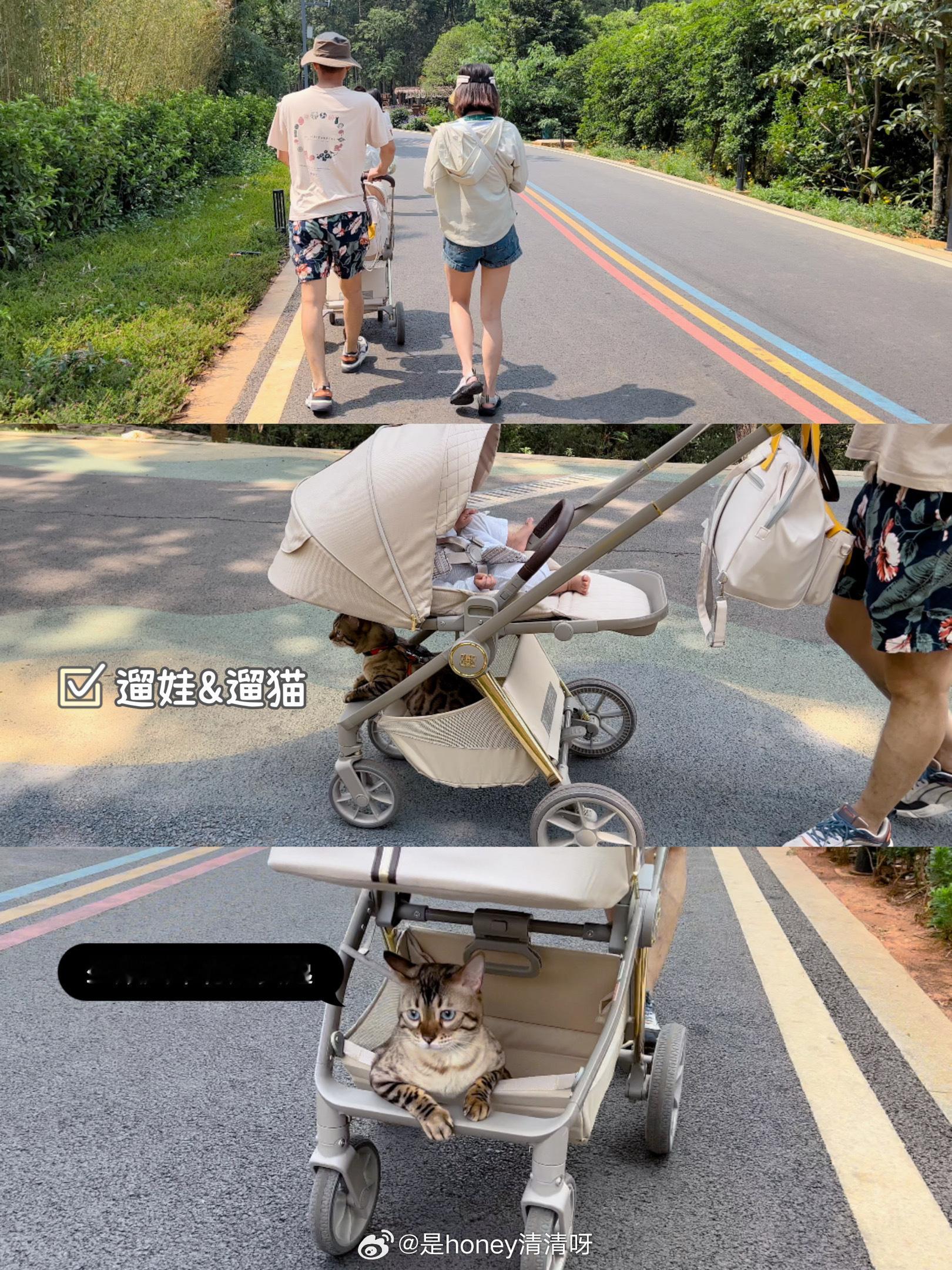 #五一假期随手拍#回老家总是快乐的快乐的日子又过得太快嗖一下假期结束了[二哈]#