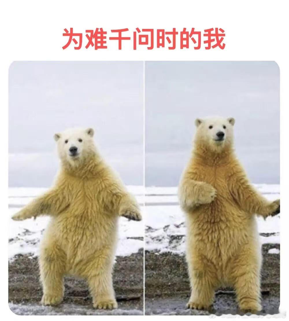 千问也是懂人情世故的问大哥也太好玩了，让它猜我几月生日，猜不出来挨打，这情商比我