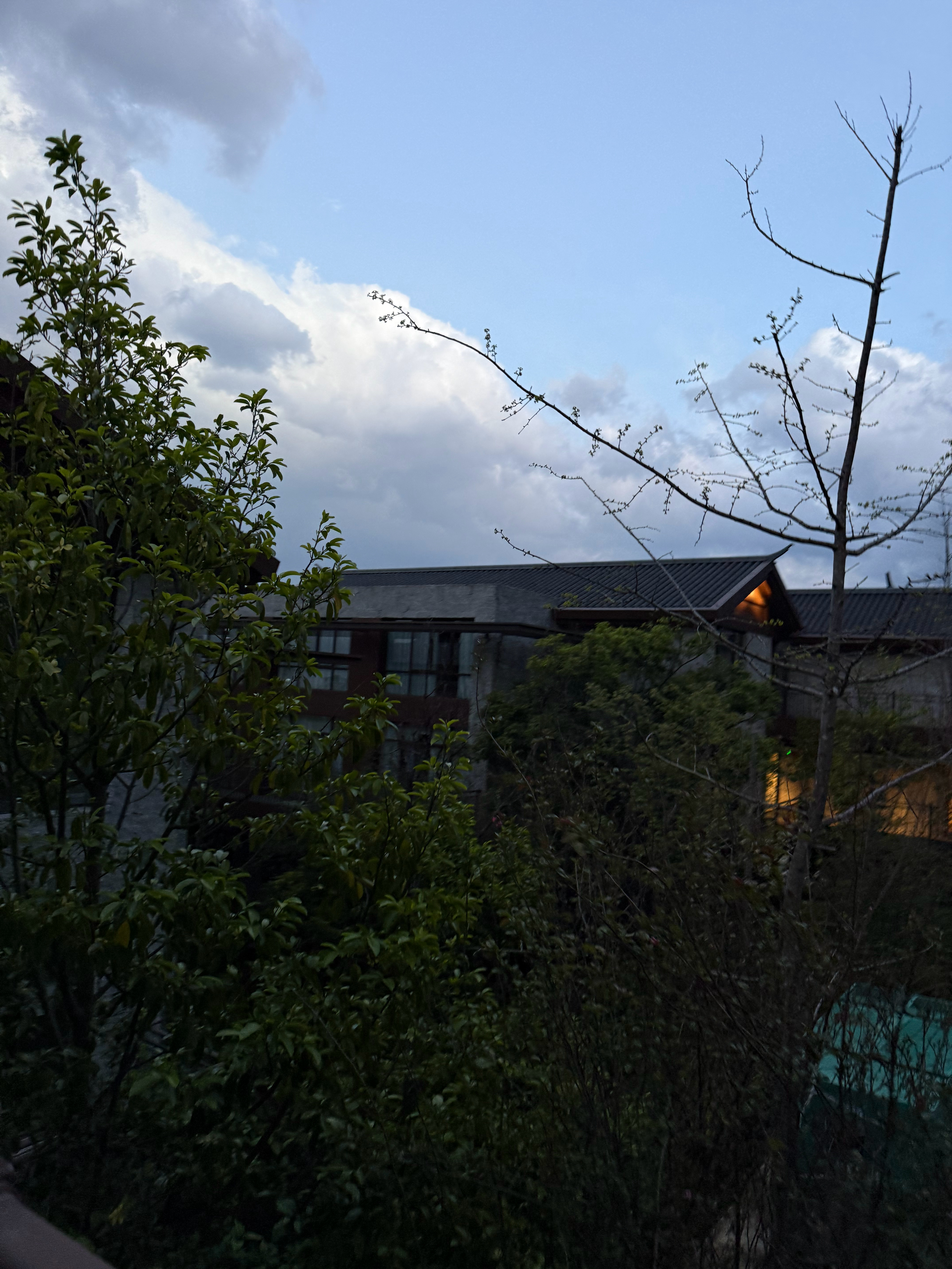 每次来大理住的酒店都在苍山上，无一例外 大理·颐云度假养生酒店