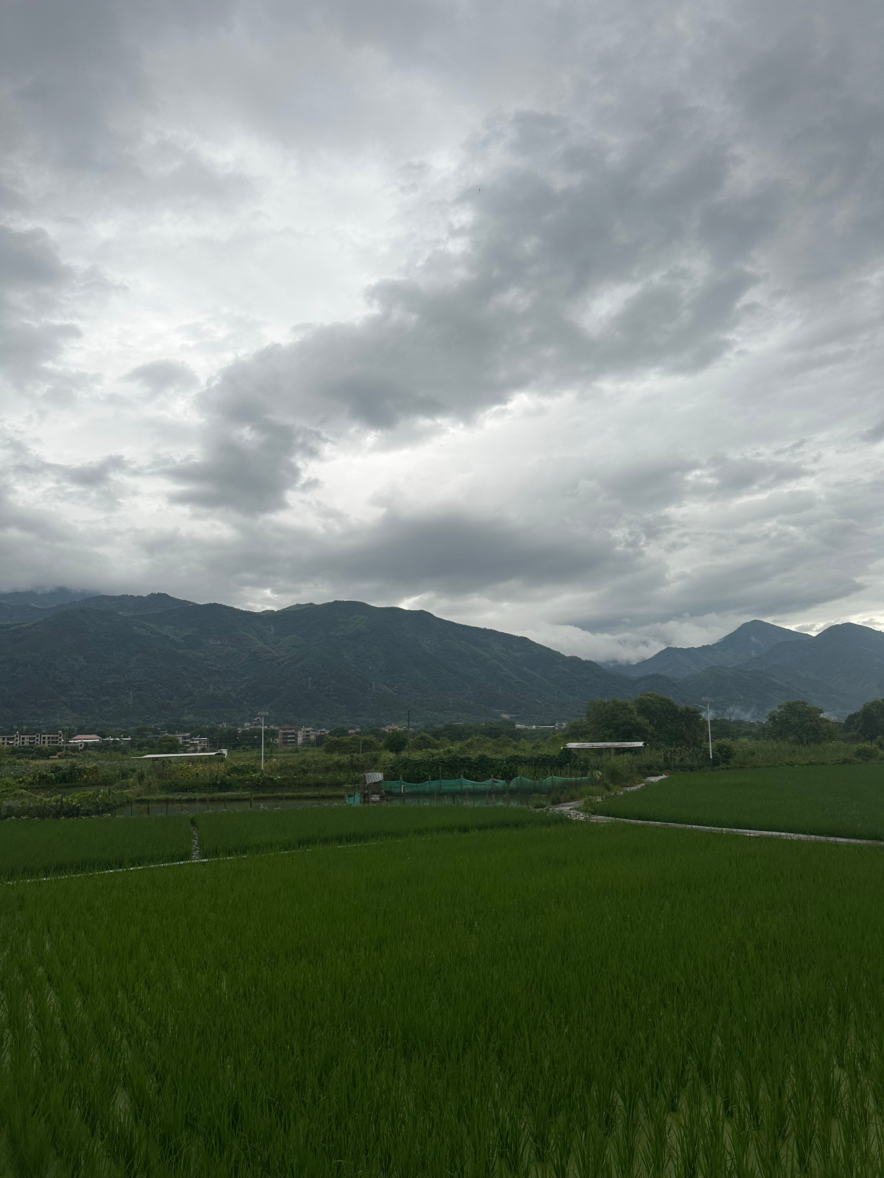 一场骤雨过后，天地间的燥热与扬尘尽数消散。空气裹挟着泥土、青草与湿润枝叶独有的淡