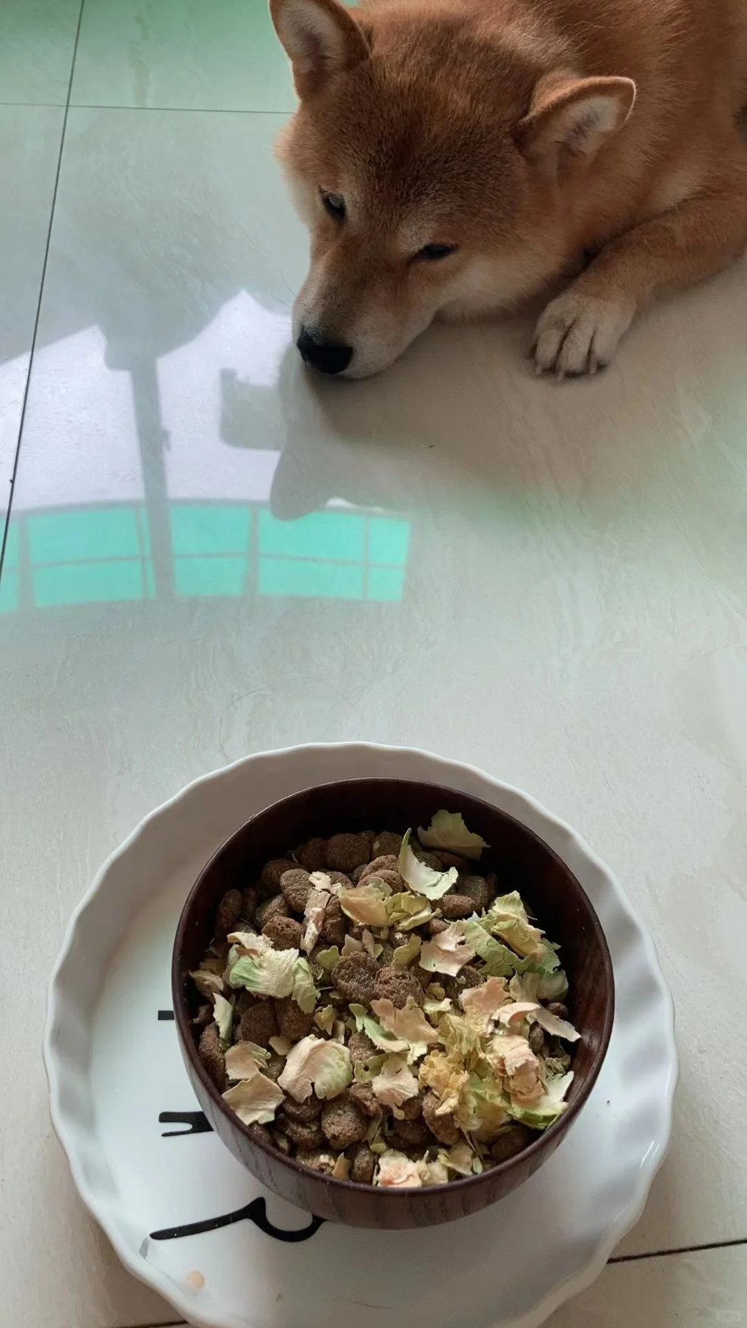 吃菜vs吃肉