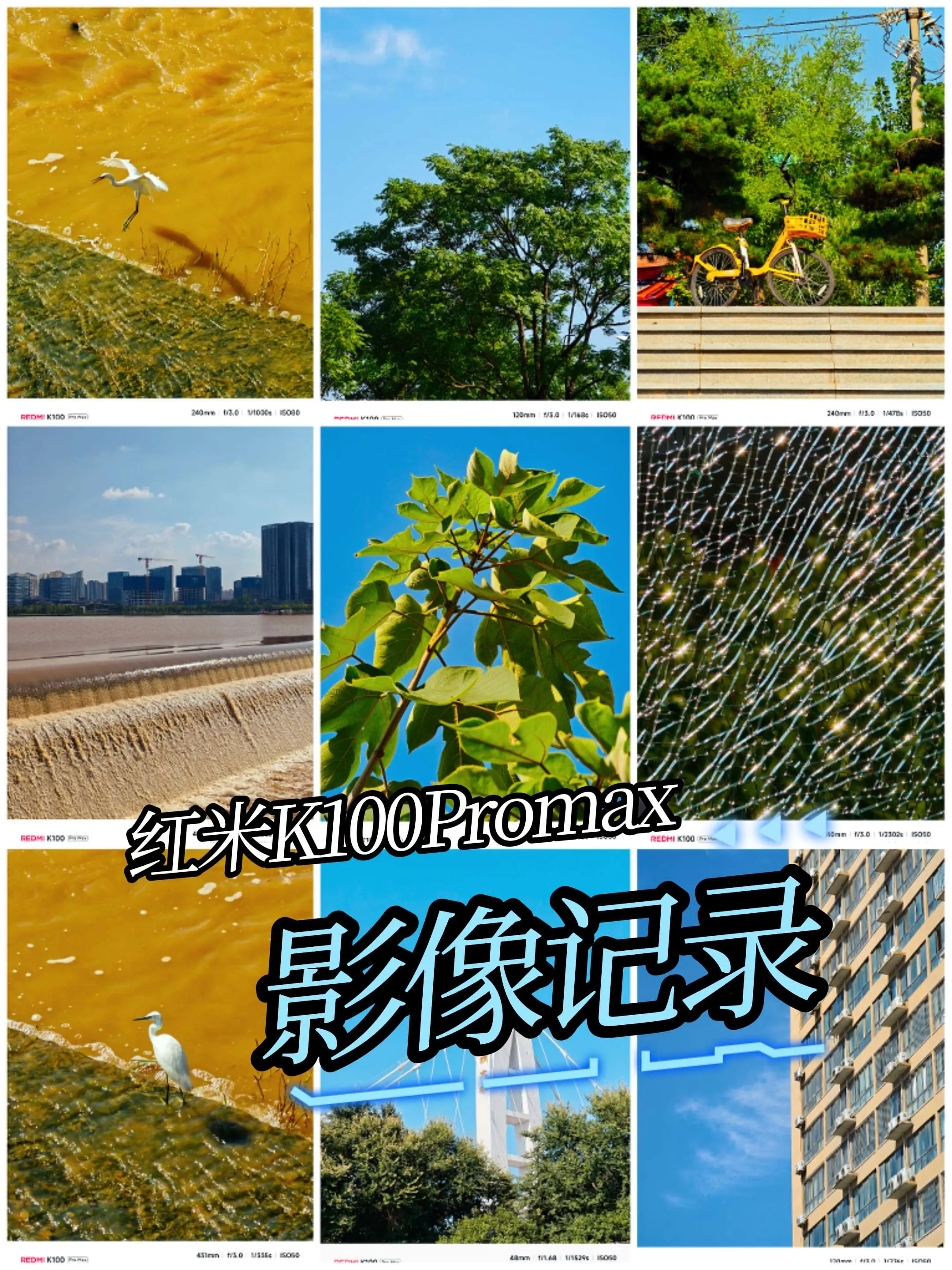 红米K100ProMax的影像拍摄日记。｜主摄｜长焦｜微距｜直出测试镜头影像能力