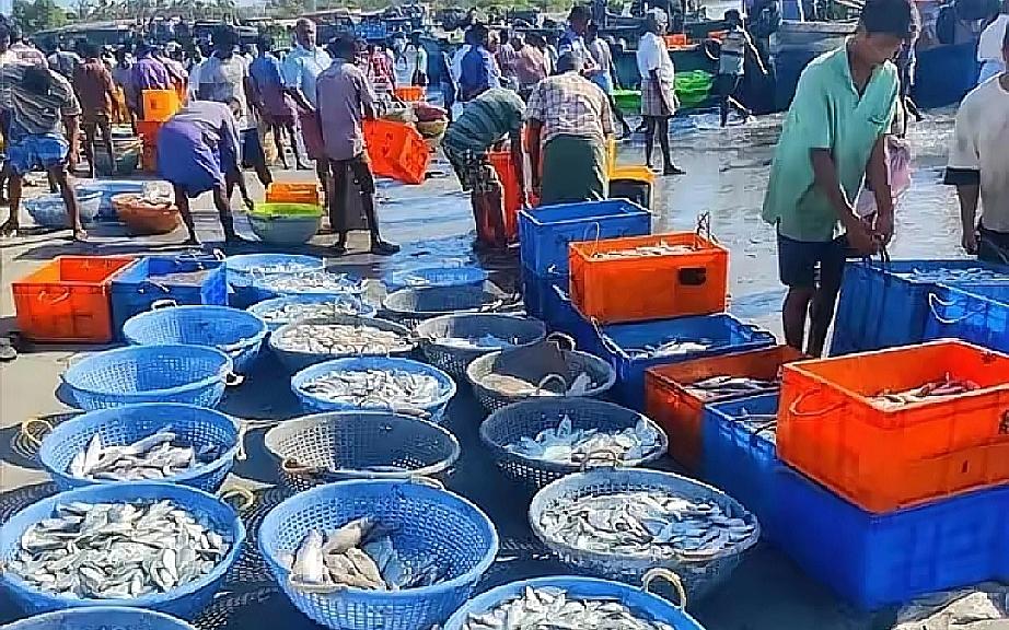 就在刚刚！
印度开始着急了！
最厉害的还是我们祖国！
​中国暂停进口日本的水产品