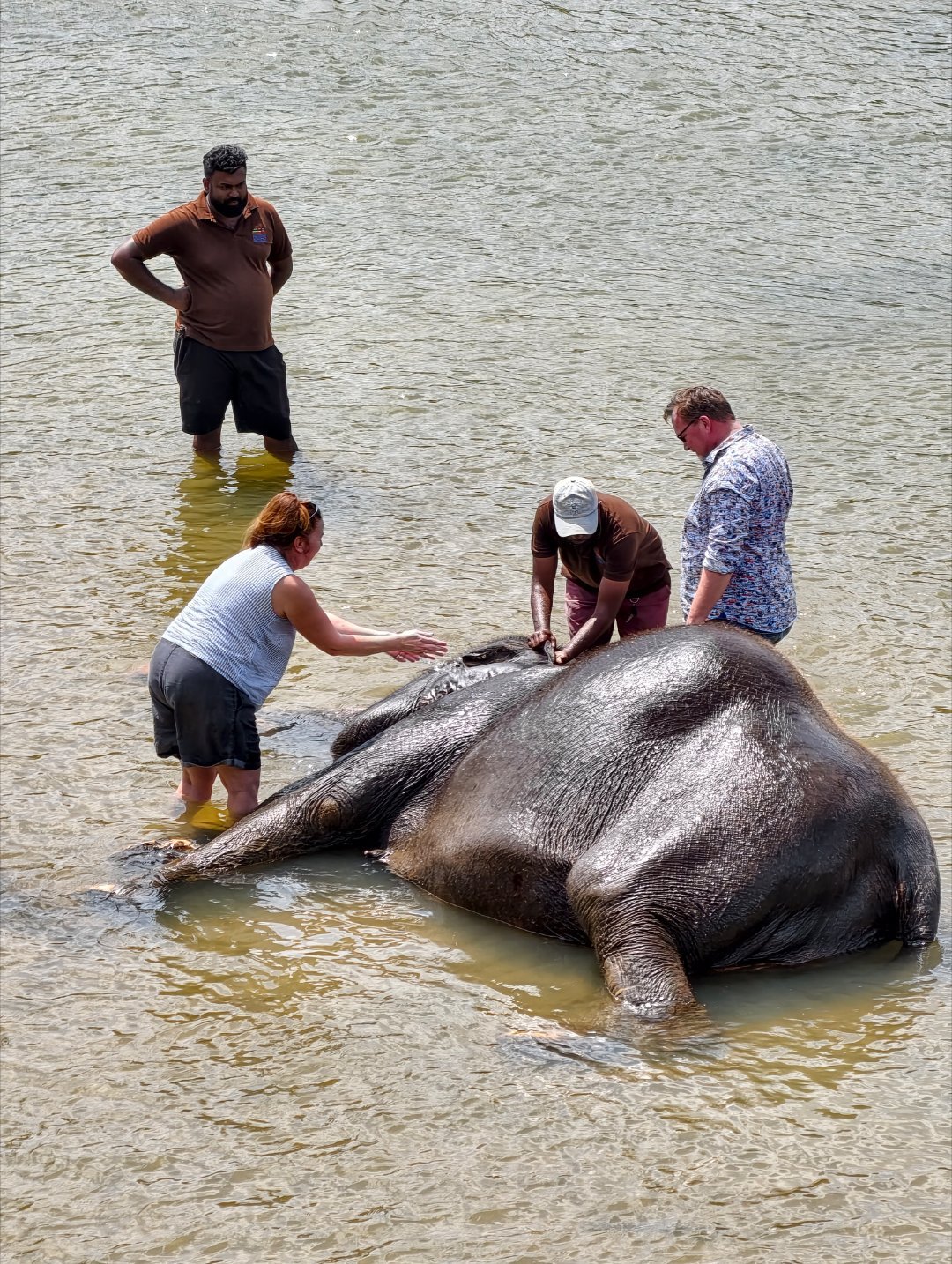 为什么世界唯二的大象孤儿院，值得专程来一次？马上出发玩尽兴出发吧拥抱世界2026