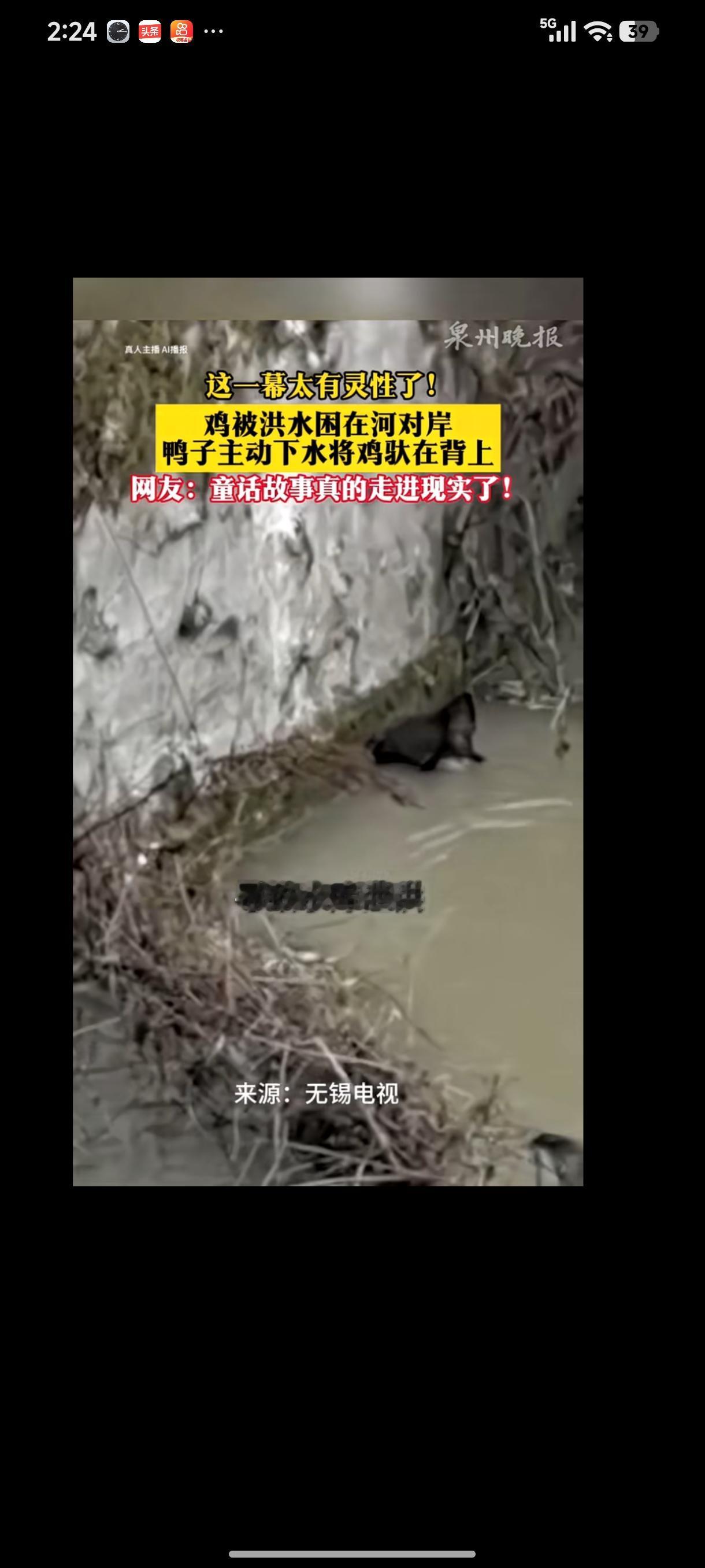 动物之间也是有情感的。
近日，湖南长沙连降暴雨。结果导致白沙附近的河流水位上涨，