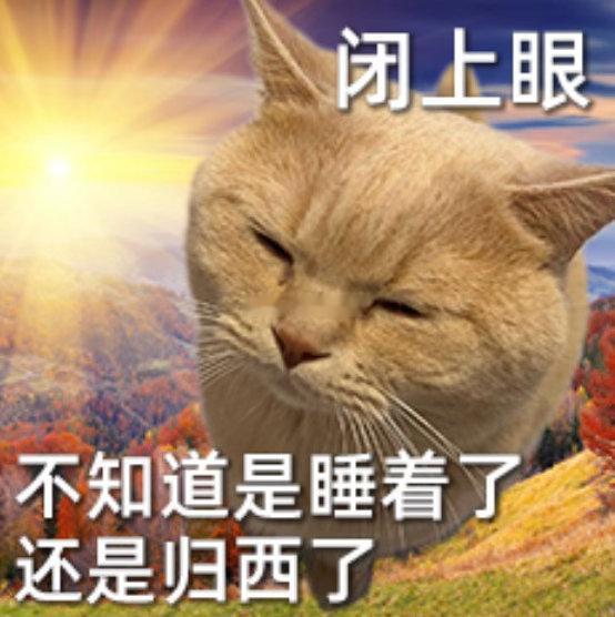 你好同学 要开学啦 暑假也是结束啦[打call][打call][打call] ​