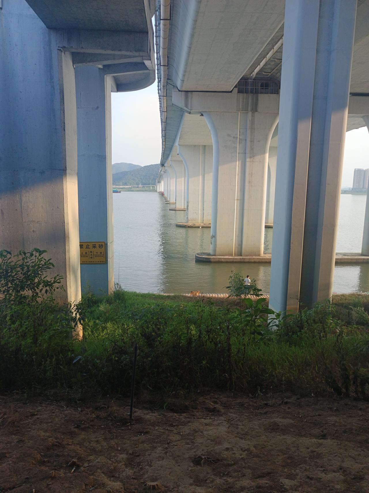 我在西江河畔
发现一个很严重的问题
但不知道怎么说才好



你敢相信吗？这是在