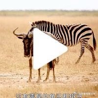 【戴占军】画中话【巡游古湖床】来自安博塞利国家公园  网页链接  （使用App创