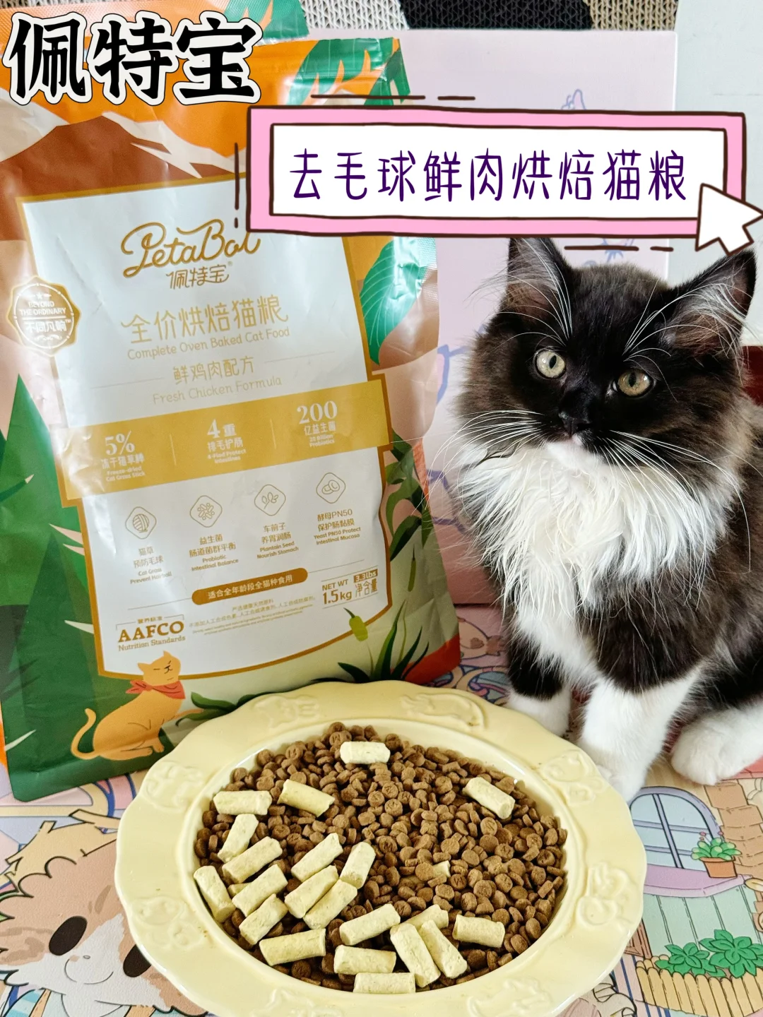 注意⚠️养猫绝不是有吃有住就够了！