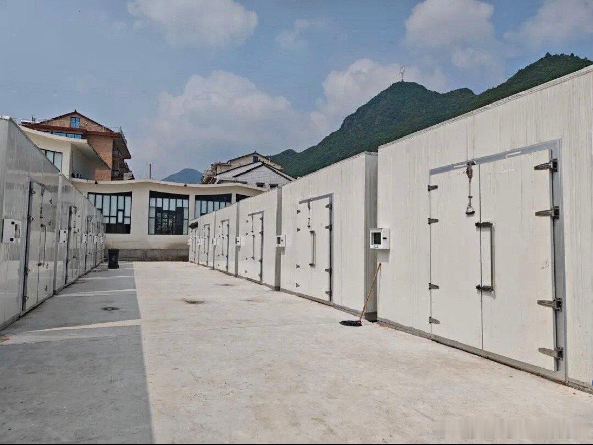 临海智慧方舱育松茸小菌菇变身致富宝临海汛桥四村共建智慧方舱松茸基地，标准化种植丰