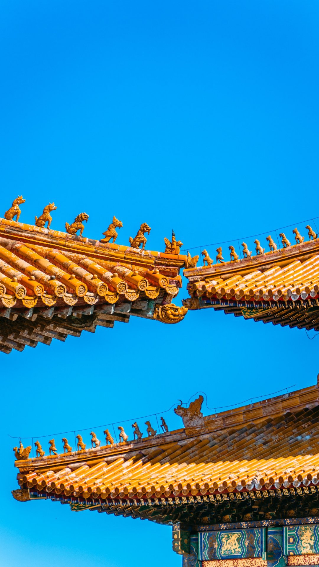 故宫下周一免费开放离故宫不到1个小时的路程，居然我都没有去过！遗憾吧！ 