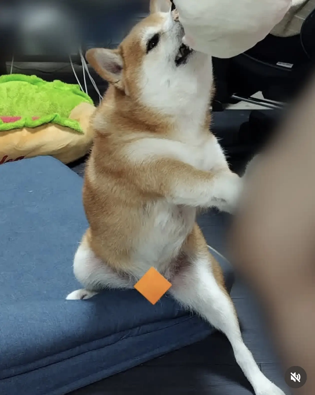 哈哈哈哈哈哈
