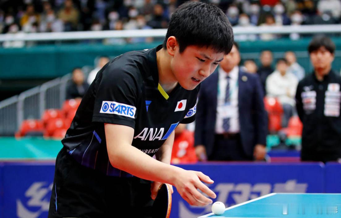 张本智和赛场突发情绪，罕见面露愠色张本智 在一场备受关注的乒乓球赛事中，日本选手