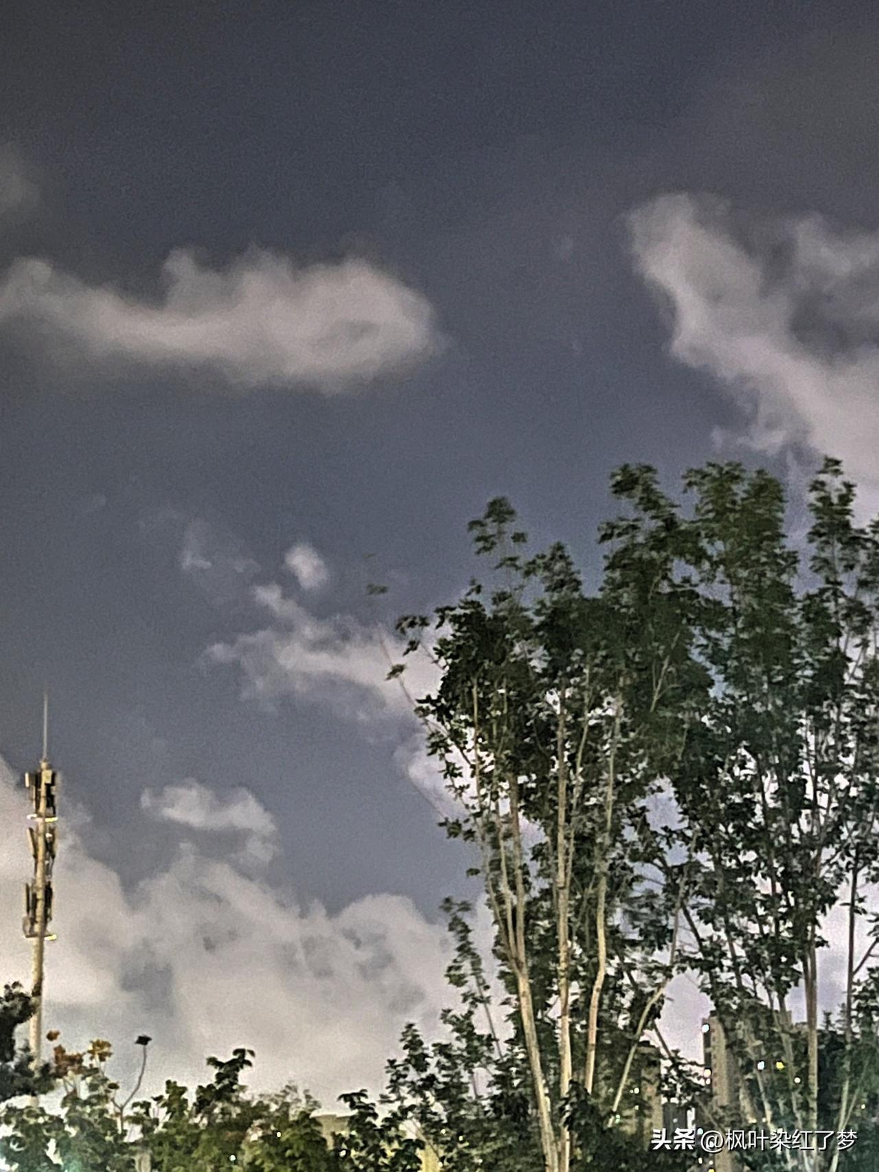 夏季的夜空，天空、白云、绿叶在一起游玩。