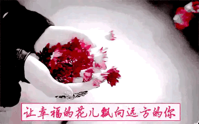 鸟语花香春色美

山清水秀夏日凉