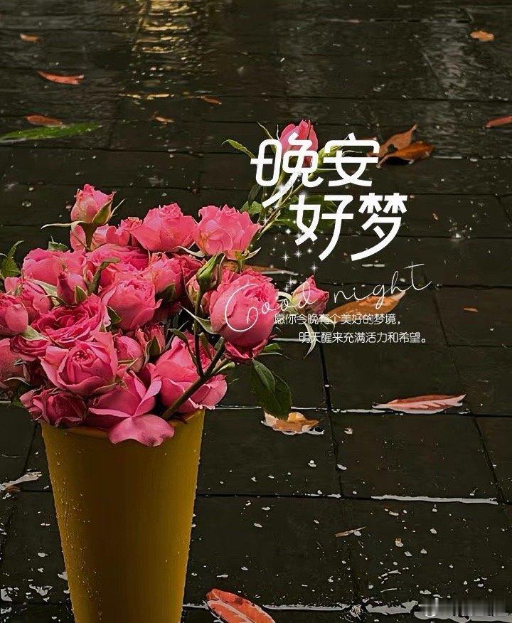 🎵💤 音乐轻柔流淌，睡意渐渐袭来。今晚我要早睡，晚安⭐️让旋律抚慰心灵～ ​